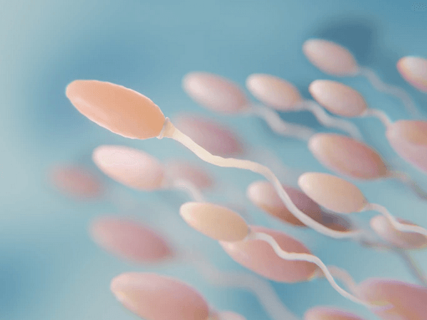 افزایش اسپرم شرکت داروسازی رها